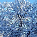 In Afritz Near Gerlitzen Center בית נופש *