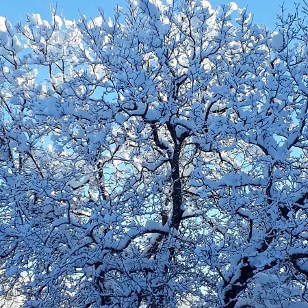 In Afritz Near Gerlitzen Center Dom wakacyjny *