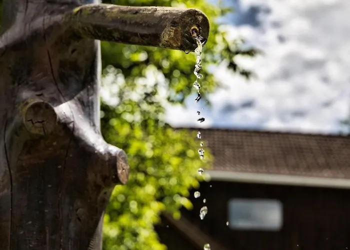 In Afritz Near Gerlitzen Center Innere Einode