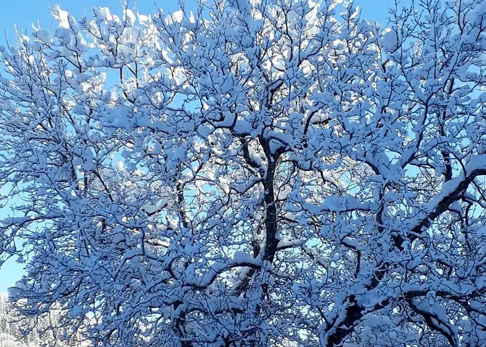 In Afritz Near Gerlitzen Center 度假居 *